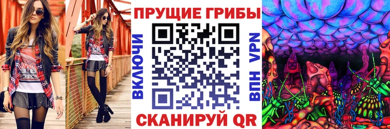 Галлюциногенные грибы Cubensis  что такое наркотик  Новоузенск 